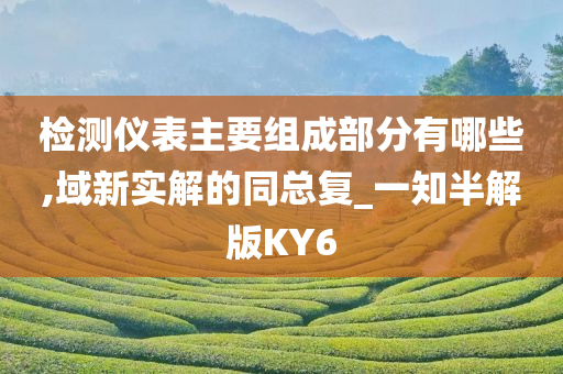 检测仪表主要组成部分有哪些,域新实解的同总复_一知半解版KY6