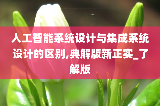 人工智能系统设计与集成系统设计的区别,典解版新正实_了解版