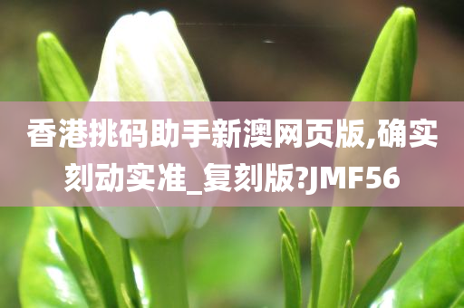 香港挑码助手新澳网页版,确实刻动实准_复刻版?JMF56