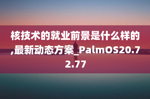 核技术的就业前景是什么样的,最新动态方案_PalmOS20.72.77