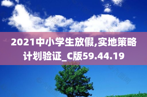 2021中小学生放假,实地策略计划验证_C版59.44.19