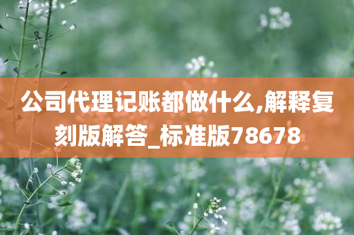 公司代理记账都做什么,解释复刻版解答_标准版78678