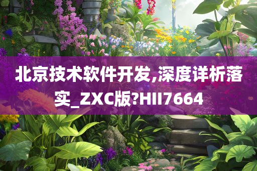 北京技术软件开发,深度详析落实_ZXC版?HII7664