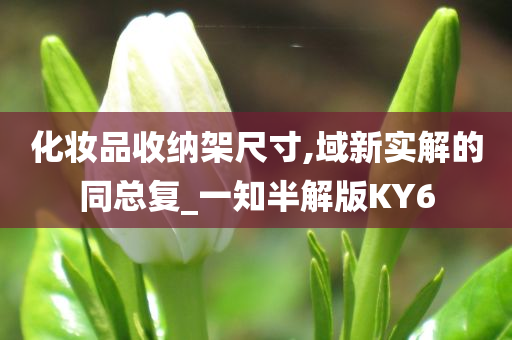 化妆品收纳架尺寸,域新实解的同总复_一知半解版KY6