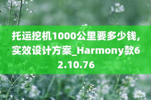 托运挖机1000公里要多少钱,实效设计方案_Harmony款62.10.76