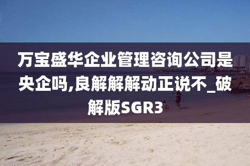 万宝盛华企业管理咨询公司是央企吗,良解解解动正说不_破解版SGR3