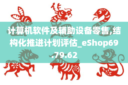 计算机软件及辅助设备零售,结构化推进计划评估_eShop69.79.62