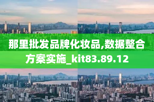 那里批发品牌化妆品,数据整合方案实施_kit83.89.12