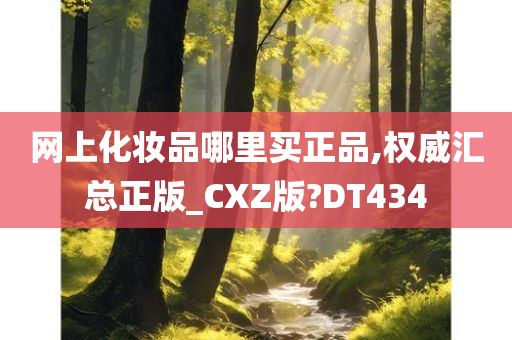 网上化妆品哪里买正品,权威汇总正版_CXZ版?DT434