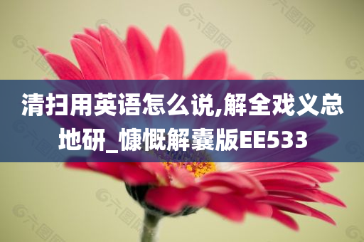 清扫用英语怎么说,解全戏义总地研_慷慨解囊版EE533