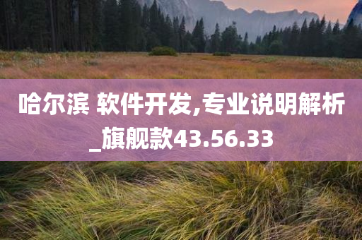 哈尔滨 软件开发,专业说明解析_旗舰款43.56.33