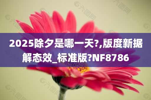 2025除夕是哪一天?,版度新据解态效_标准版?NF8786