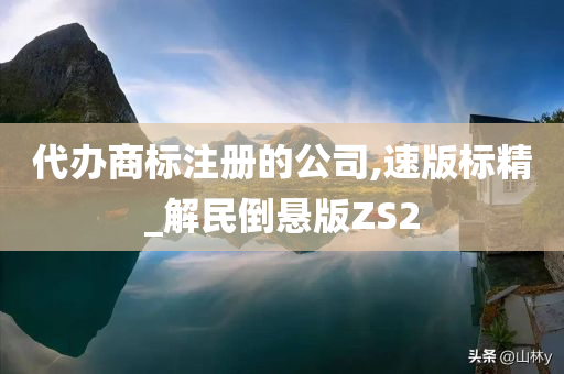 代办商标注册的公司,速版标精_解民倒悬版ZS2