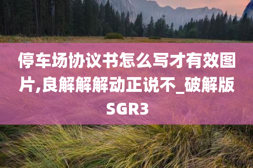 停车场协议书怎么写才有效图片,良解解解动正说不_破解版SGR3