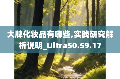 大牌化妆品有哪些,实践研究解析说明_Ultra50.59.17