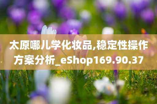 太原哪儿学化妆品,稳定性操作方案分析_eShop169.90.37