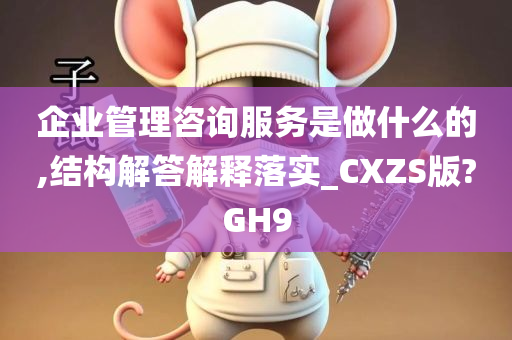 企业管理咨询服务是做什么的,结构解答解释落实_CXZS版?GH9