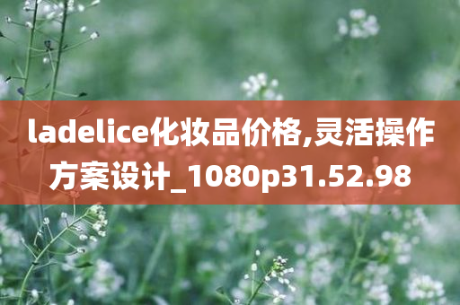 ladelice化妆品价格,灵活操作方案设计_1080p31.52.98