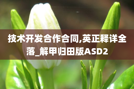 技术开发合作合同,英正释详全落_解甲归田版ASD2