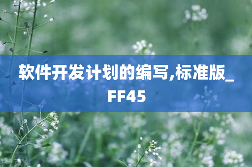 软件开发计划的编写,标准版_FF45