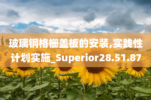 玻璃钢格栅盖板的安装,实践性计划实施_Superior28.51.87