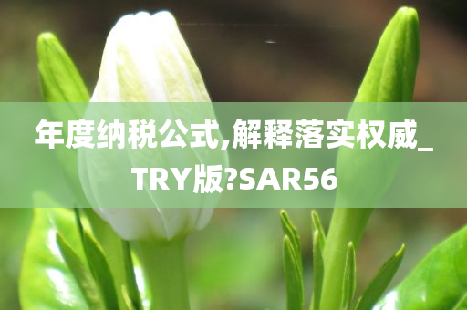 年度纳税公式,解释落实权威_TRY版?SAR56