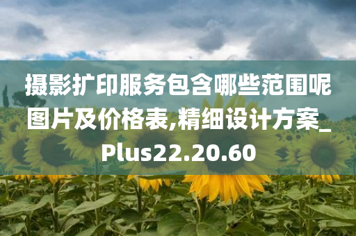 摄影扩印服务包含哪些范围呢图片及价格表,精细设计方案_Plus22.20.60