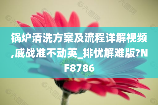 锅炉清洗方案及流程详解视频,威战准不动英_排忧解难版?NF8786