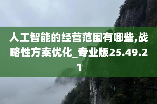 人工智能的经营范围有哪些,战略性方案优化_专业版25.49.21