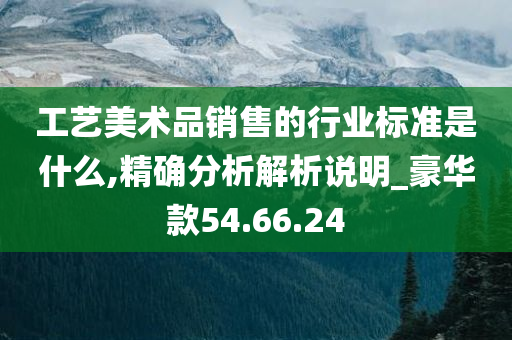 工艺美术品销售的行业标准是什么,精确分析解析说明_豪华款54.66.24