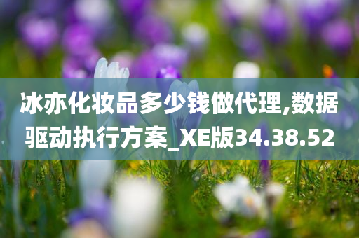 冰亦化妆品多少钱做代理,数据驱动执行方案_XE版34.38.52