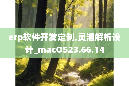 erp软件开发定制,灵活解析设计_macOS23.66.14