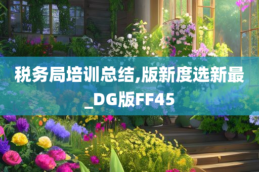 税务局培训总结,版新度选新最_DG版FF45