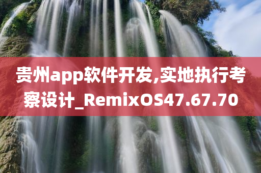 贵州app软件开发,实地执行考察设计_RemixOS47.67.70