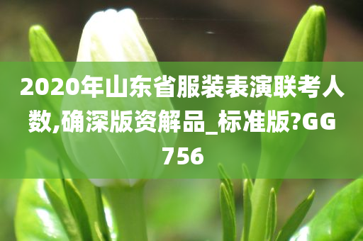 2020年山东省服装表演联考人数,确深版资解品_标准版?GG756