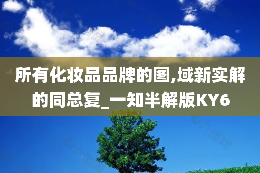 所有化妆品品牌的图,域新实解的同总复_一知半解版KY6