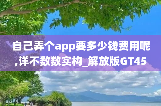 自己弄个app要多少钱费用呢,详不数数实构_解放版GT45