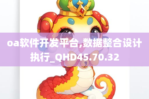 oa软件开发平台,数据整合设计执行_QHD45.70.32