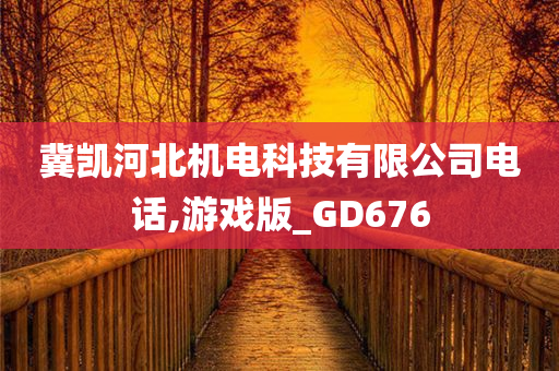 冀凯河北机电科技有限公司电话,游戏版_GD676