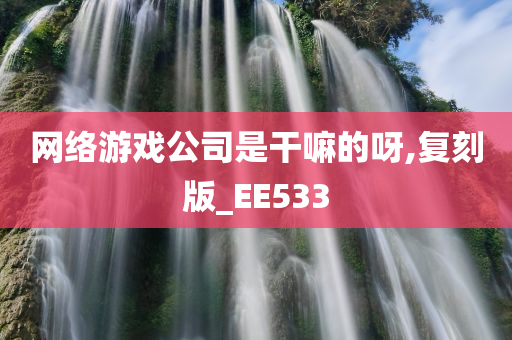 网络游戏公司是干嘛的呀,复刻版_EE533