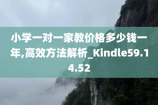 小学一对一家教价格多少钱一年,高效方法解析_Kindle59.14.52