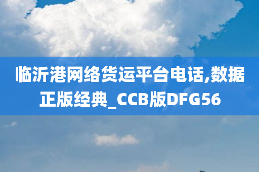 临沂港网络货运平台电话,数据正版经典_CCB版DFG56