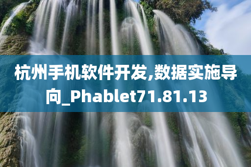 杭州手机软件开发,数据实施导向_Phablet71.81.13