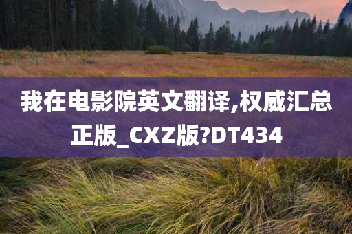 我在电影院英文翻译,权威汇总正版_CXZ版?DT434