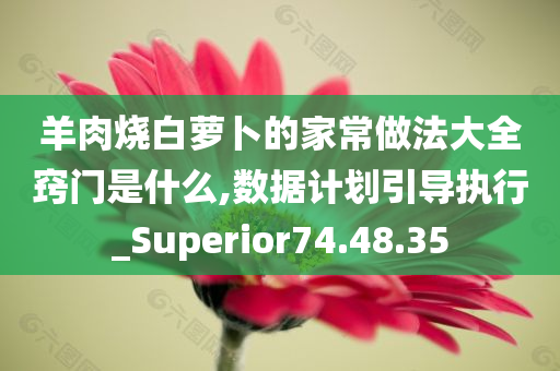 羊肉烧白萝卜的家常做法大全窍门是什么,数据计划引导执行_Superior74.48.35