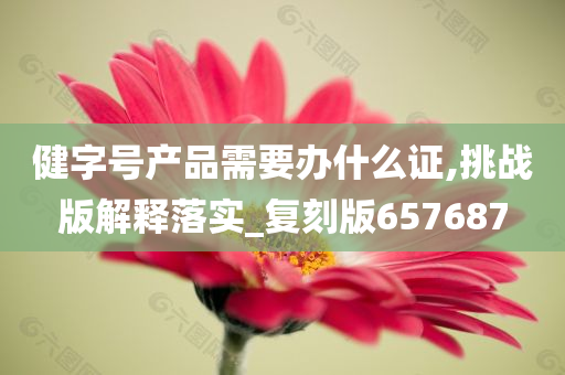 健字号产品需要办什么证,挑战版解释落实_复刻版657687