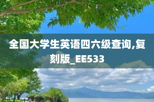 全国大学生英语四六级查询,复刻版_EE533