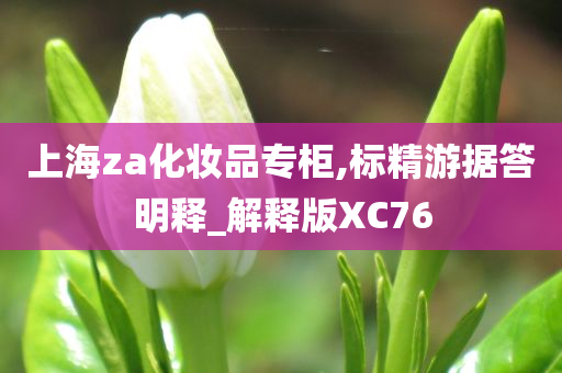 上海za化妆品专柜,标精游据答明释_解释版XC76