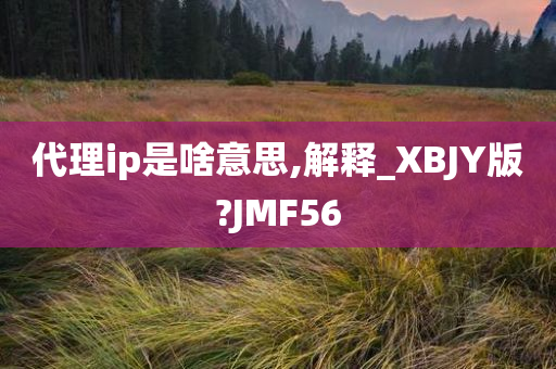 代理ip是啥意思,解释_XBJY版?JMF56