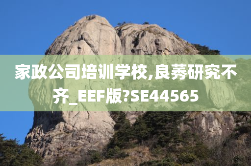 家政公司培训学校,良莠研究不齐_EEF版?SE44565